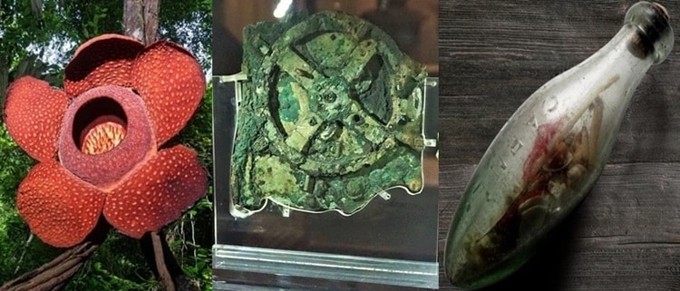  जानिए हज़ारों साल पुराना कैलकुलेटर,Witch Bottle जैसी खोजों के बारे में जिन्होंने वैज्ञानिको को हिला कर रख दिया